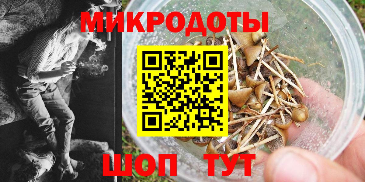 Галлюциногенные грибы GOLDEN TEACHER  Псилоцибиновые грибы Magic Shrooms  Лобня  Вход с VPN 